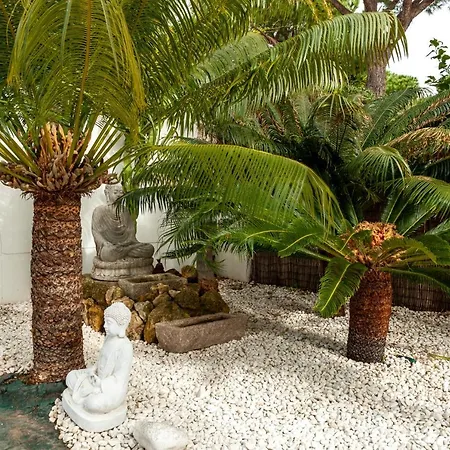 Con Piscina Privada En